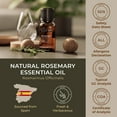 thumbnail image 2 of Gya Labs Rosemary Oil for Hair & Scalp - Natural Rosemary Essential Oils for Skin & Diffuser - 0.34 fl oz, 2 of 7