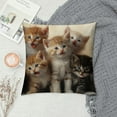 thumbnail image 2 of JEUXUS  Cute Cats Decorative Throw Pillow Cover Case, Kittens Family Cats Outdoor Pillow Cases Square Standard Cushion Cover for Sofa Couch Bed Car, 2 of 5