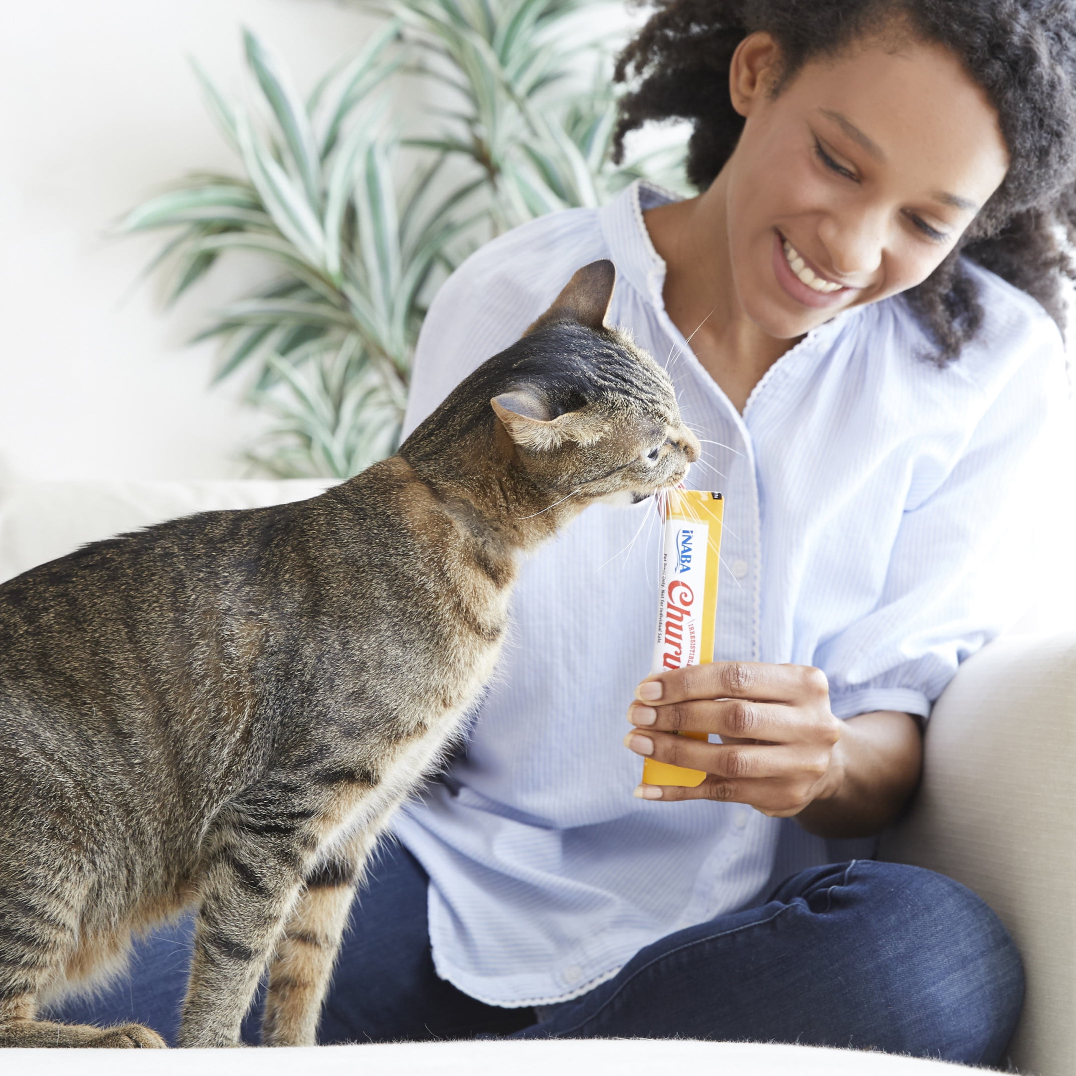 Inaba Churu Creamy, Lickable Wet Cat Treats, 0.5 oz, 40