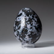 Genuine Polished Indigo Gabbro (3.5) Egg from Madagascar
