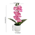 thumbnail image 3 of Lifelike Artificial Phalaenopsis Potted Plant 7 Heads Faux Orchid Flower Arrangement Home Wedding Party Indoor Desktop Decor Ornament, 3 of 7