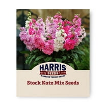 Harris Seeds - Stock Katz Mix Seeds For Outdoor Flower Planting - 500 Seeds