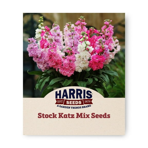 Harris Seeds - Stock Katz Mix Seeds For Outdoor Flower Planting - 500 Seeds