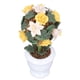 thumbnail image 5 of Mini casa de muñecas con plantas, simulación de casa de muñecas 1:12, simulación de casa de muñecas con flores, accesorios para casa de muñecas, acabado de lujo, 5 of 14