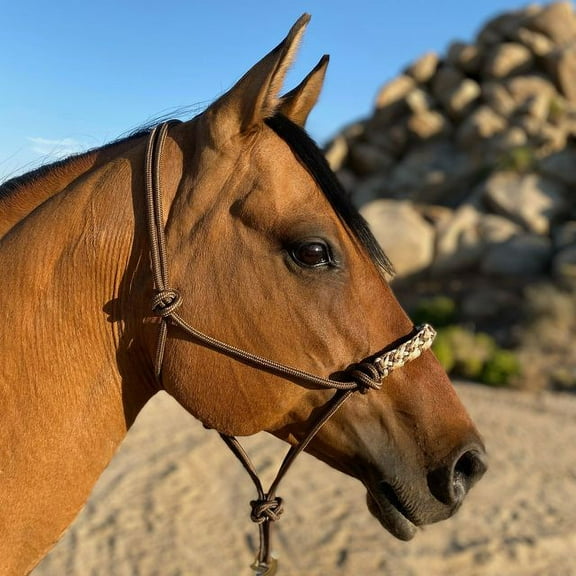 Kensington Clinician Rope Halter