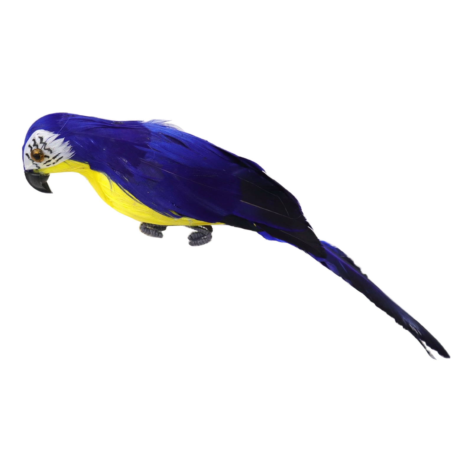 Warmtree Simulated Macaws Kingfisher Blue-Footed Booby Model