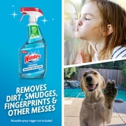 Windex Glass, Window, and Mirror Cleaner, Original Blue, Spray Bottle, 32 fl oz.