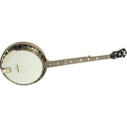 Recording King RK-R25 Madison Tube-and-Plate 5-String Banjo Maple