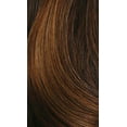 thumbnail image 2 of AMERIE - Shake N Go Freetress Equal Lace Front Wig #33/32/240, 2 of 2