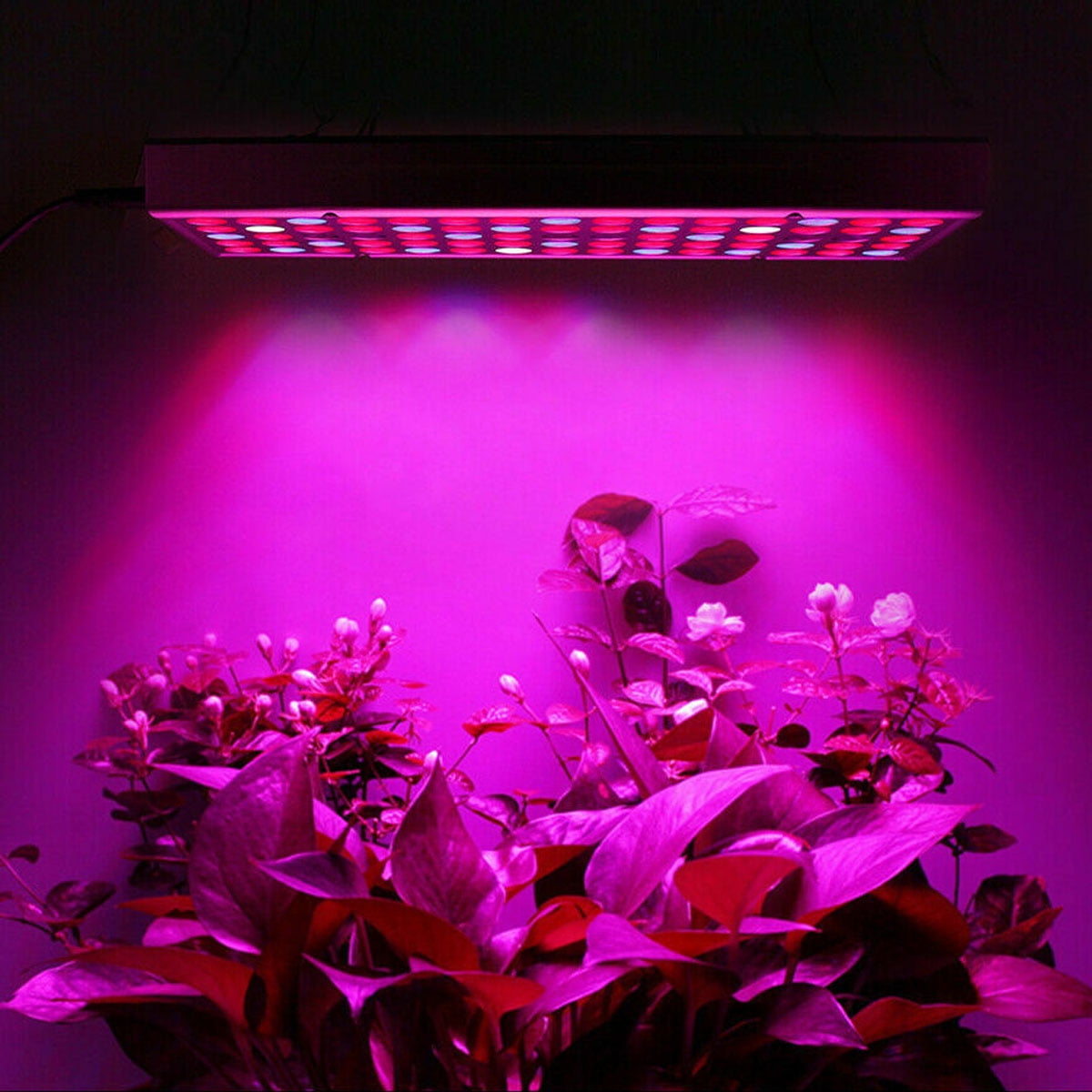 2000/8000W LED Grow Light Hydroponic Full Spectrum Indoor Plant Flower Veg Lamp 