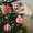 Red, variant on HongHeng Christmas Ball Ornaments, 3.14 inches Vintage Christmas Tree Decorations, 9 PCS Large Shatterproof Neutral Farmhouse Luxury Xmas Ornaments for Christmas Tree, Home Decor