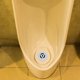 thumbnail image 2 of Tapones de colador de urinario, tapón de urinario de baño, tapas de colador de urinario, 2 uds., 2 of 6