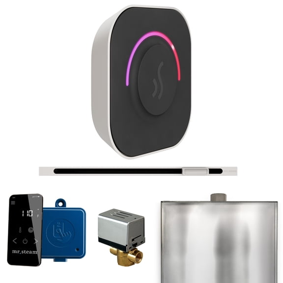 Mr Steam ButlerTouch Steam Shower Ctrl Pkg w/TempoTouch Control and Linear Steamhead in White
