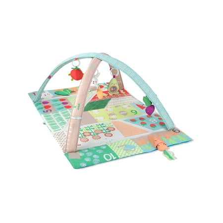 Skip Hop Farmstand Grow & Play Baby Activity Gym for Age 0+