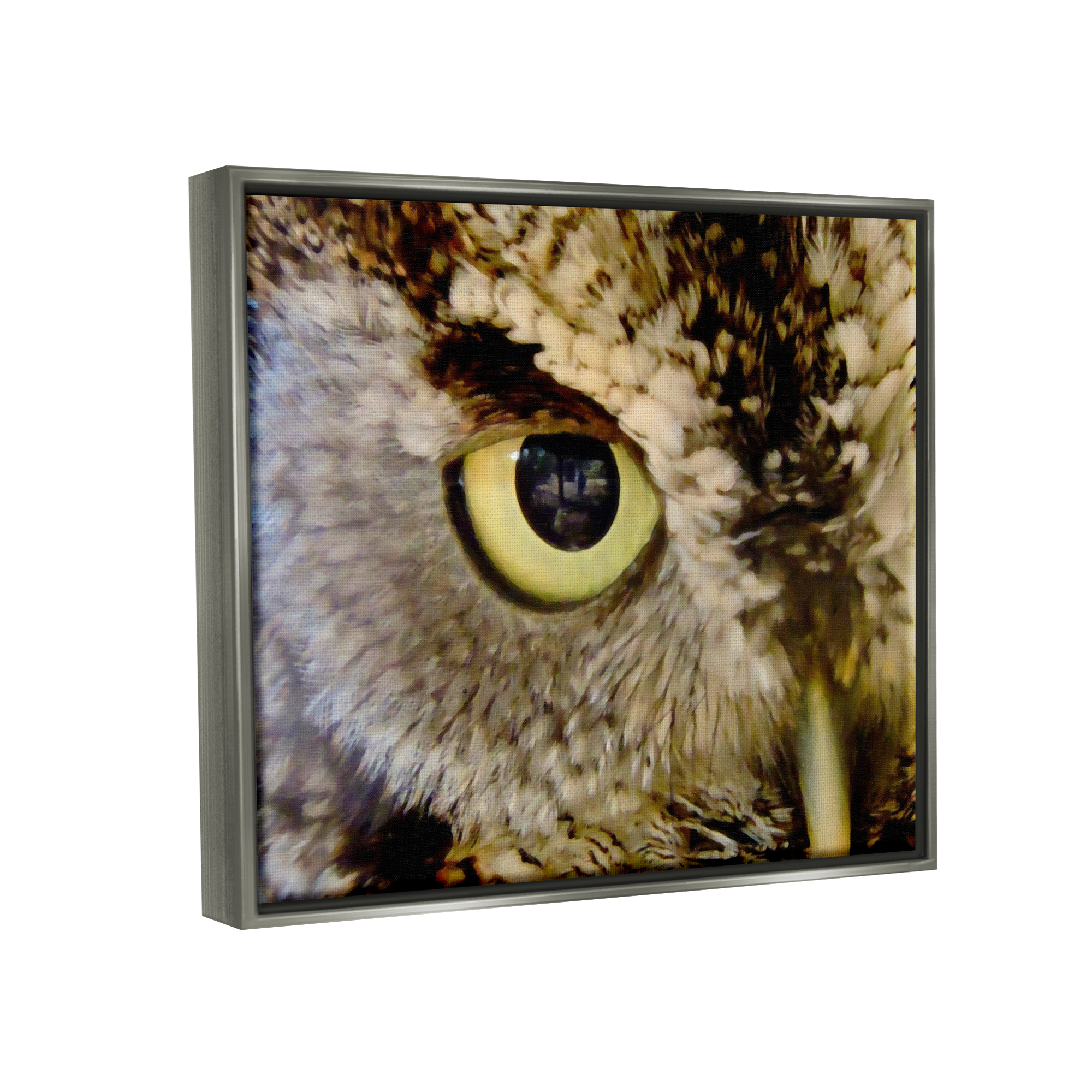 Stupell Industries Owl Eye Close Up Wildlife Animals & Insects Painting Gray Floater Framed Art Print Wall Art