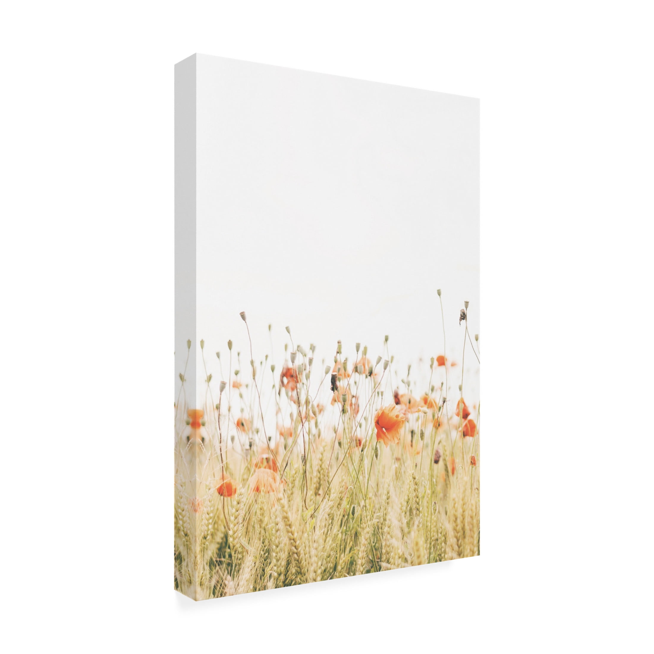 Canvas Wall Art - Krista Broadway 'Poppy 1' Wall Art for Living Room, Bedroom, or Office Décor by Trademark Fine Art - 30 x 47 Inches