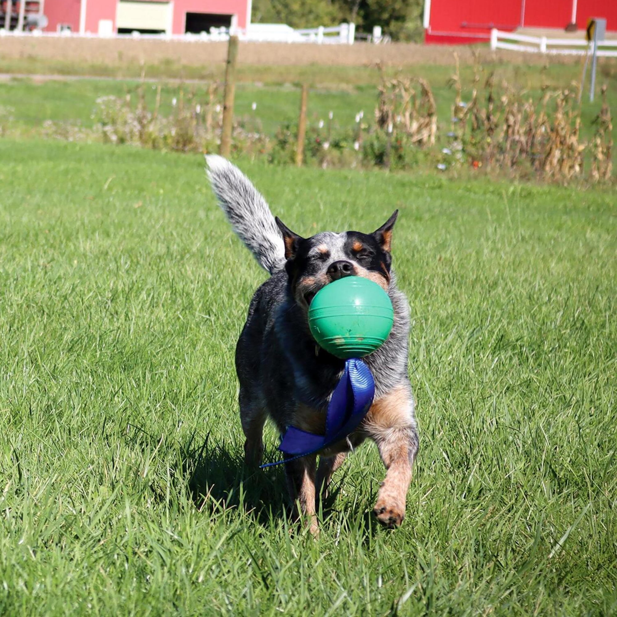 PetKORE: KoreFlex Ball & Tail - 4.75", Green, Dog Toy, Shape Maintaining Rubber, Durable Strap, Treat Stuffing Center, Bounce-Tug-Fetch-Chew, Pet Play