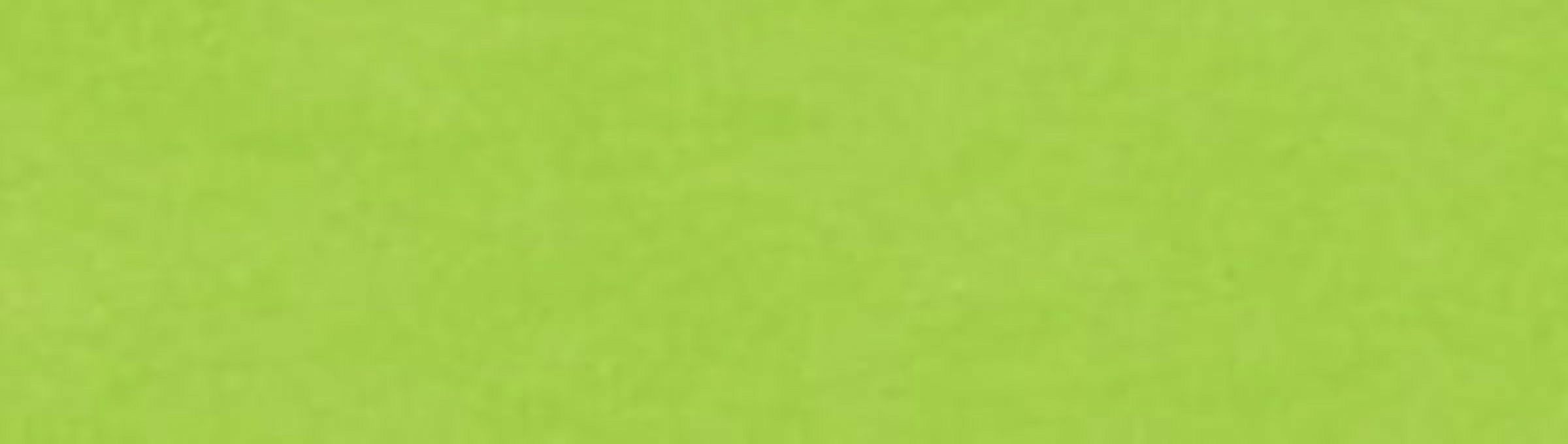 Kunin 9" x 12" Felt Sheet, Neon Green