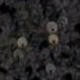 thumbnail image 4 of Sudaderas Duo Pareja Queen Y King Color Gris Talla Extra Grande Marca Emil SaEs, 4 of 4