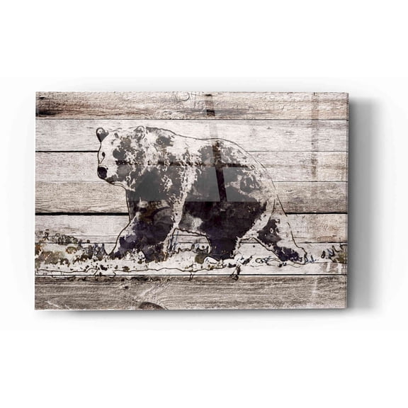 Epic Art 'Black Bear 1' by Irena Orlov, Acrylic Glass Wall Art, 16"x24"