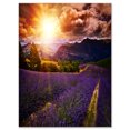 thumbnail image 2 of Beautiful Sunset over Lavender Field - Floral Canvas Art Print, 2 of 3