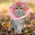 thumbnail image 4 of Collier Cône pour Chat Réglable Collier de Récupération Mignon Cône Protecteur pour Chien Cônes de Guérison Cône Elizabeth pour Chatons Chats Chiots Petits Chiens de Confiance, 4 of 6