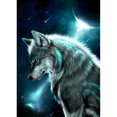 thumbnail image 1 of Taladro diamante pintura (DE2932) 5D DIY noche completa lobo punto de cruz bordado Kits 45x60cm FLhrweasw Nuevo, 1 of 1
