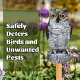 thumbnail image 2 of Guardoinrt PE Owl Ornament For Bird Repellent In Crops And Unique Simulation Technology Long ears, 2 of 6