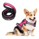 thumbnail image 1 of Pechera Arnes + Correa Perro E-pets Ajustable Raza Mediana, 1 of 8