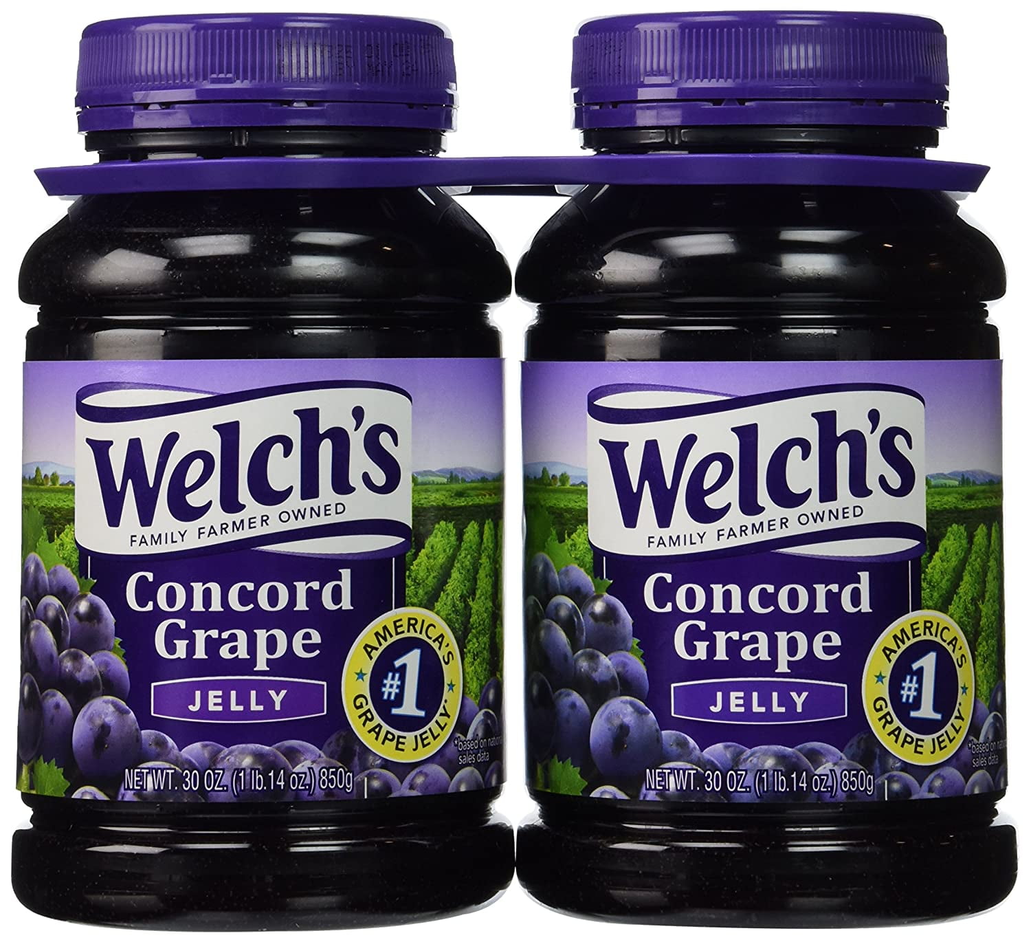 Welchs Concord Grape Jelly 30 Oz Jar