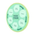 thumbnail image 1 of Life Cycle Learning Toys, Food Chain Food Web Science Kits Exquisite Marine Forest Arctic Animal  for Classroom, 1 of 7