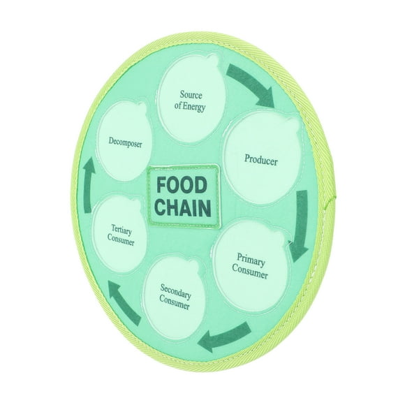 Life Cycle Learning Toys, Food Chain Food Web Science Kits Exquisite Marine Forest Arctic Animal for Classroom