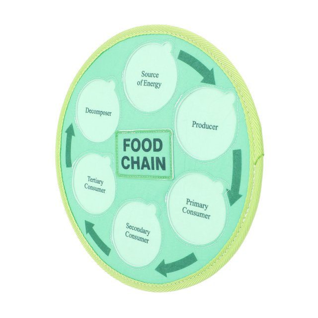 Life Cycle Learning Toys, Food Chain Food Web Science Kits Exquisite Marine Forest Arctic Animal for Classroom
