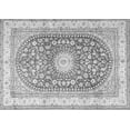 thumbnail image 1 of Ahgly Company Indoor Rectangle Persian Gray Traditional Area Rugs, 4' x 6', 1 of 1