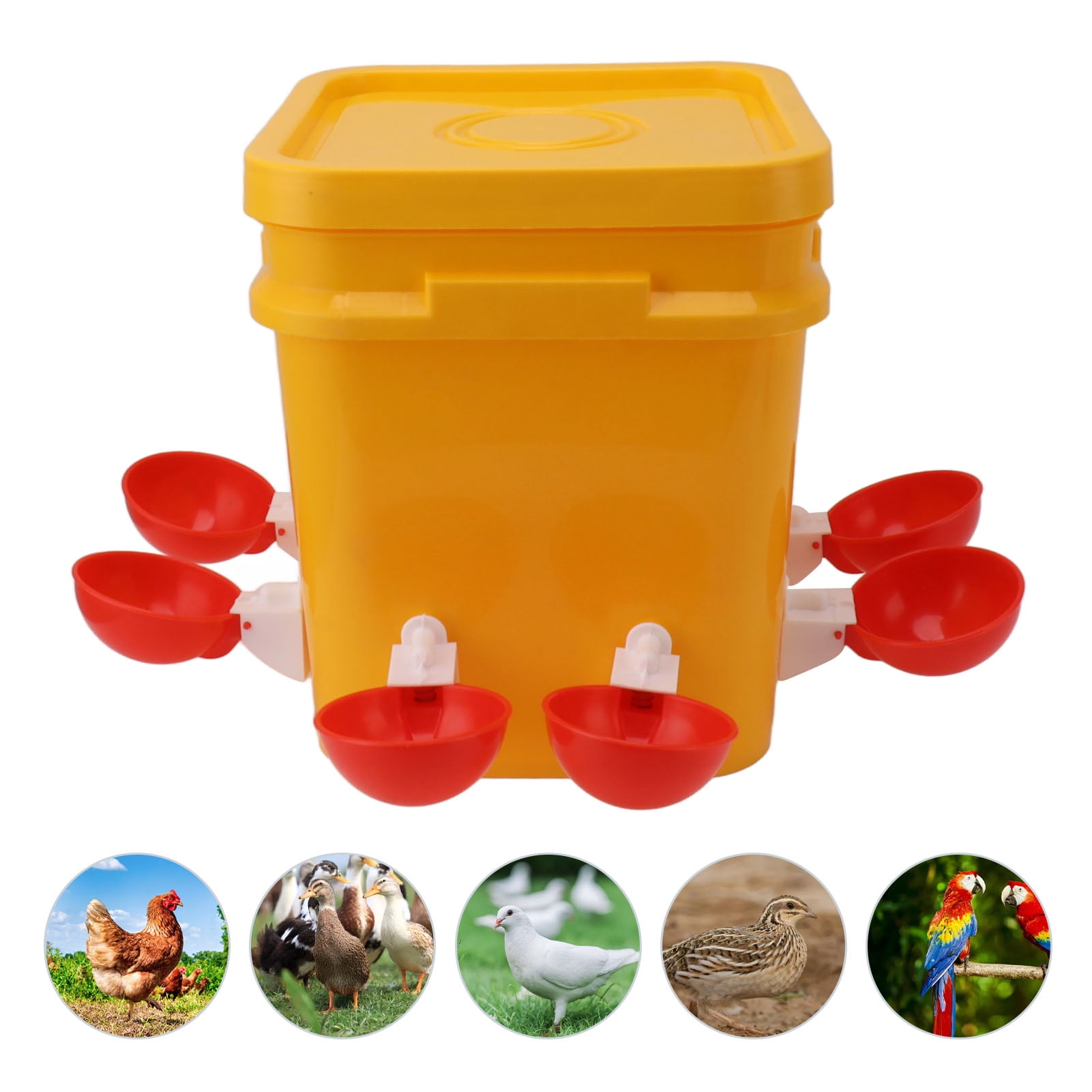 Chicken Waterer Cup Set, 12L Drinking Bucket, Gravity Feeding System