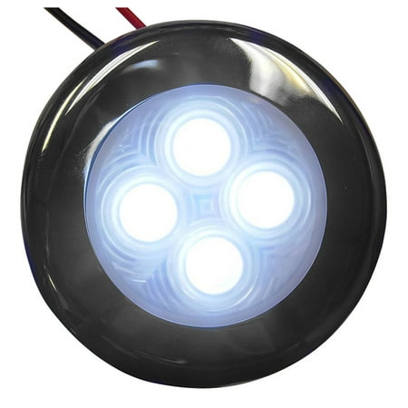 - Aqua Signal Bogota 12V 4-LED Accent Light for Indoor or Outdoor Use, Stainless Steel Housing
