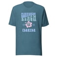 thumbnail image 2 of Unisex Adult Clearwater Beach T-Shirt Vintage Retro Look Hibiscus, 2 of 4