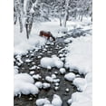 thumbnail image 2 of Zhu, Hua 15x18 Gold Ornate Wood Framed with Double Matting Museum Art Print Titled - Drinking In Snow, 2 of 4