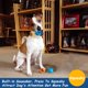 thumbnail image 3 of Pelotas de tenis para perros Squeaky, paquete de 12 unidades, 5 cm, duraderas, no tóxicas, 3 of 8