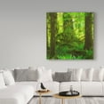 thumbnail image 3 of Trademark Fine Art 'Rainforest Square' Canvas Art by Jason Matias, 3 of 3
