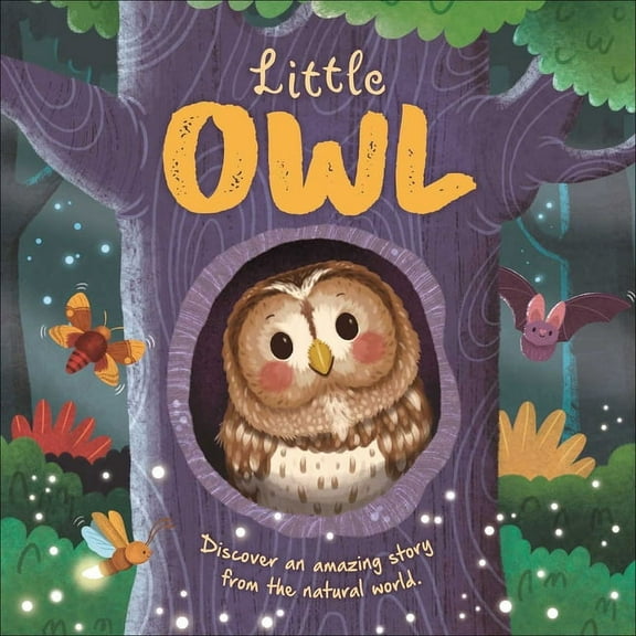 Nature Stories Nature Stories: Little Owl-Discover an Amazing Story from the Natural World: Padded Board Book, (Board Book)
