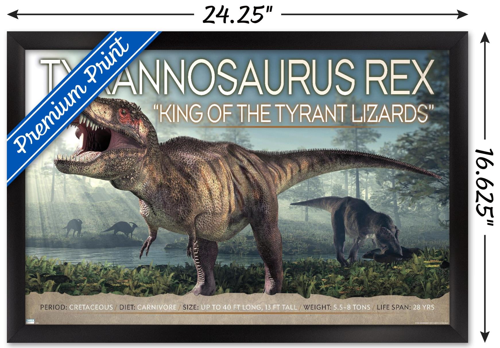 Dinosaurs - T-Rex Wall Poster, 14.725" x 22.375" Framed