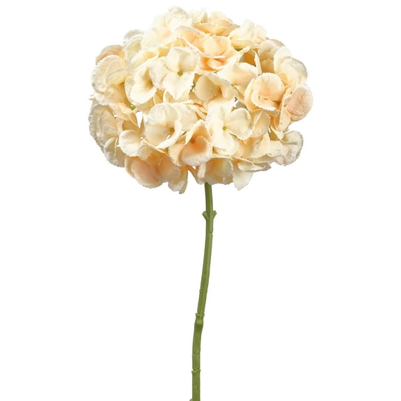 Park Place - 12 Piece Hydrangea Stem 19"