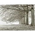 thumbnail image 2 of Frank, Assaf 18x15 Black Ornate Wood Framed with Double Matting Museum Art Print Titled - Trees in a row, 2 of 4