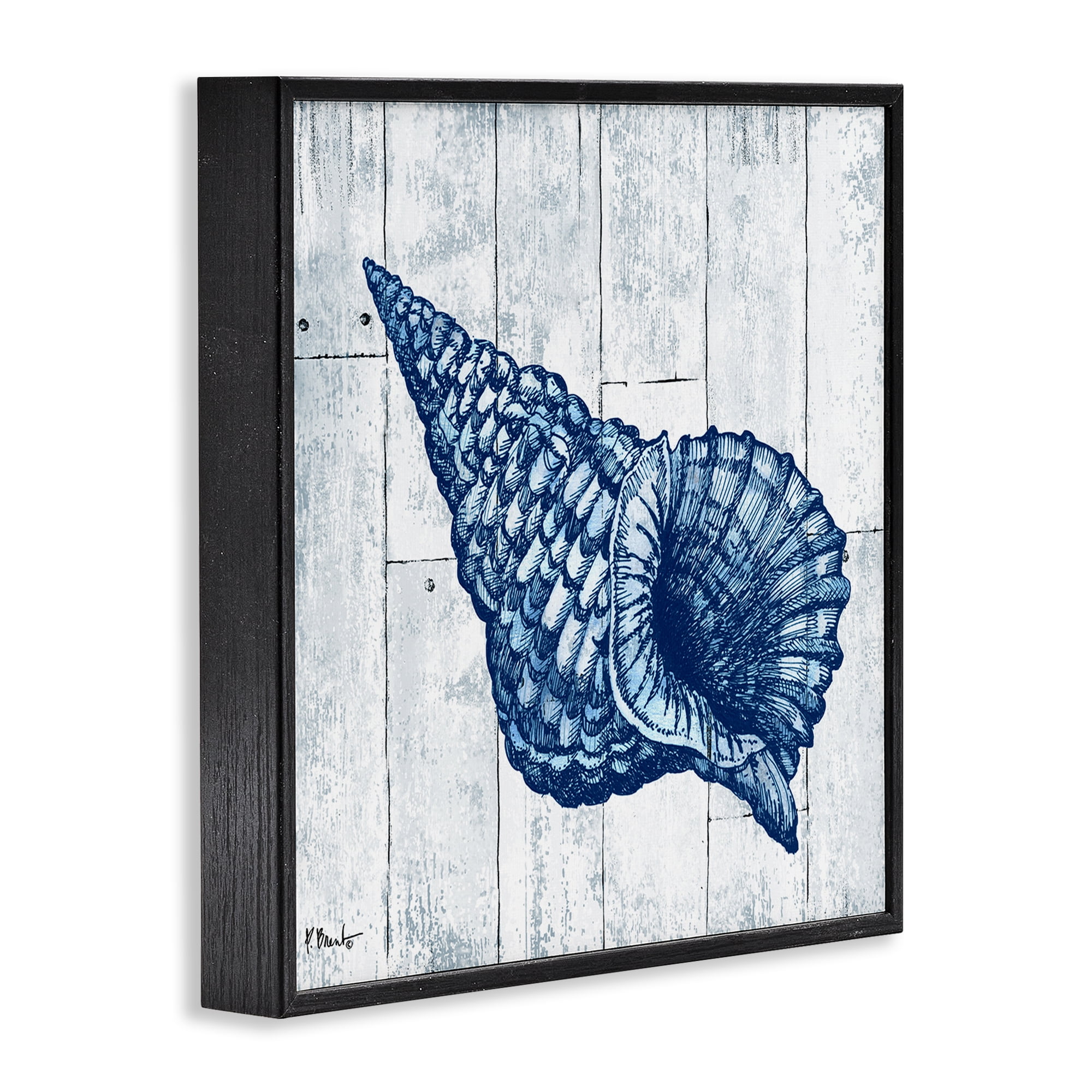 Stupell Industries Coastal Timberland Conch Black Framed Giclee Art, design by Paul Brent