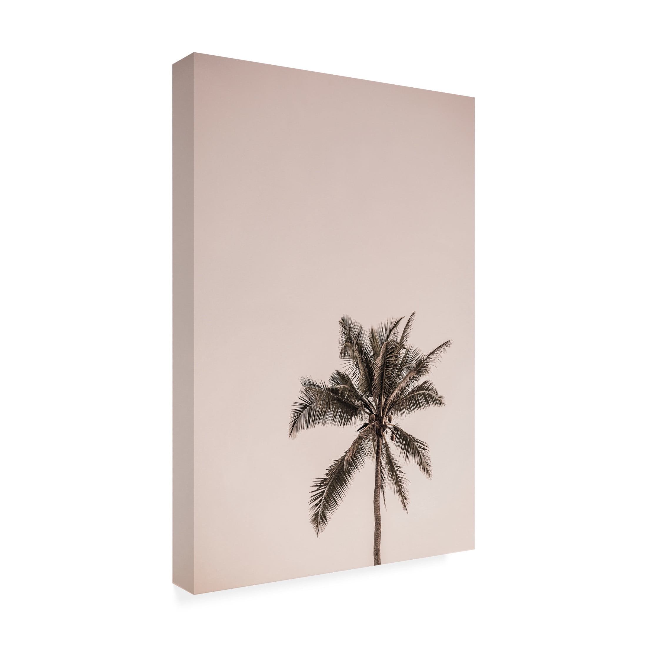 Trademark Fine Art Shot by Clint Joy Canvas Wall Art