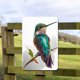 thumbnail image 2 of Vintage Placa Metal Colibrí Rectangular Pintura Hierro Arte La Pared 20x30cm, 2 of 9