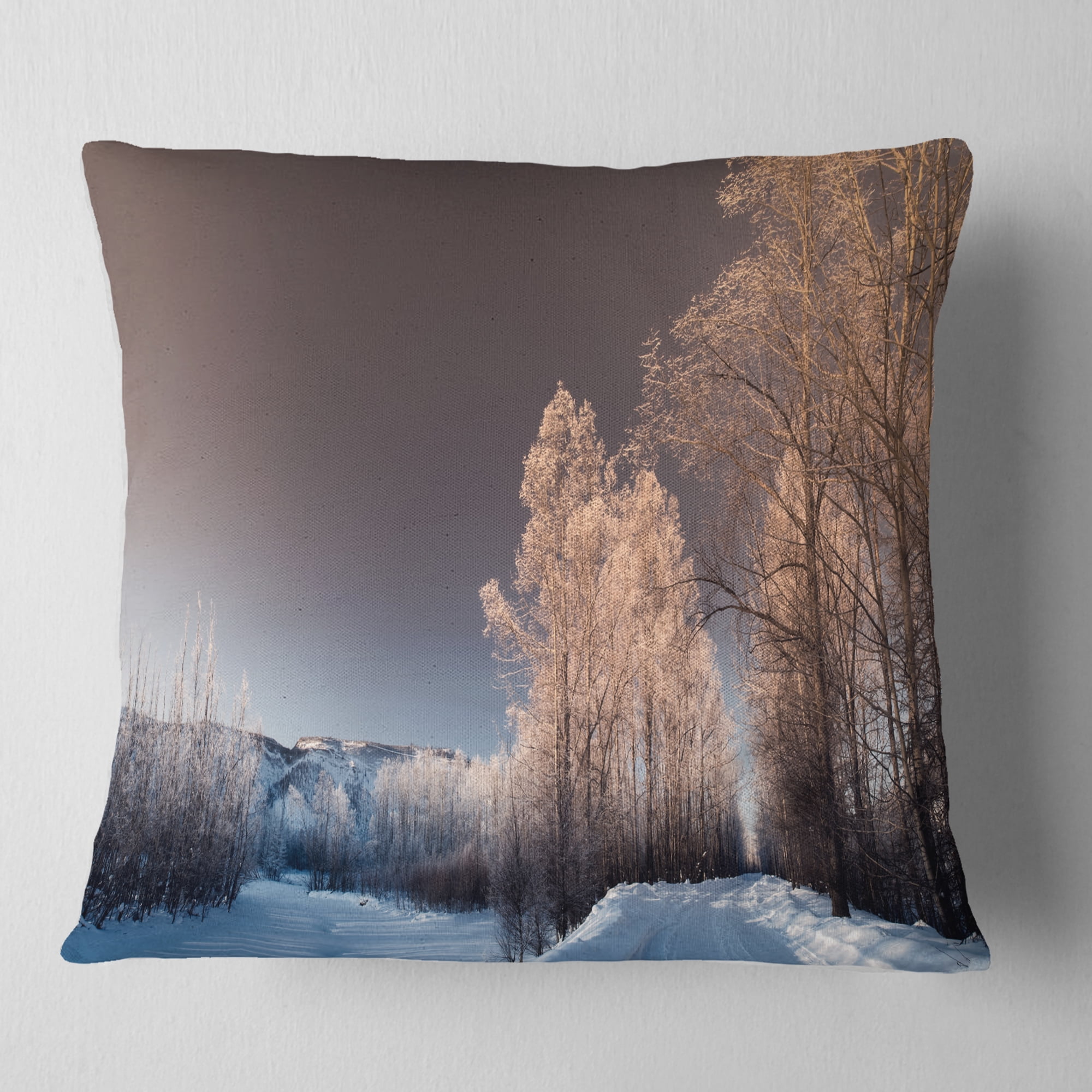 Designart Futuristic Winter Sky - Landscape Photography Throw Pillow - 18x18
