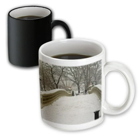 

3dRose Snow blizzard in Central Park Manhattan New York City - Magic Transforming Mug 11-ounce