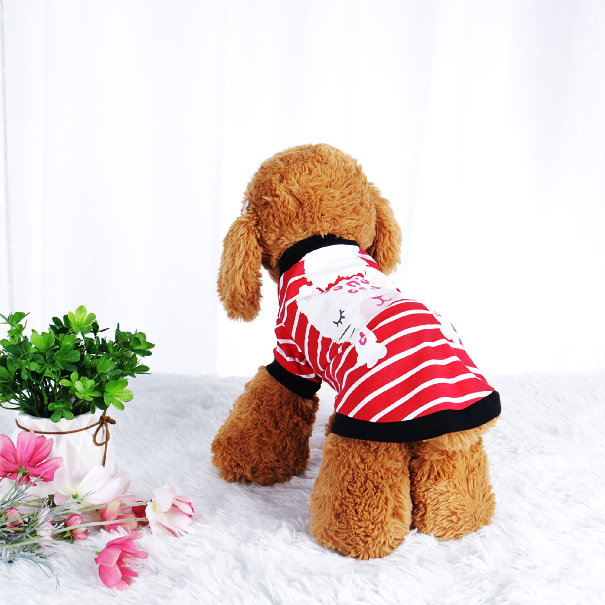 pet clothing canada
